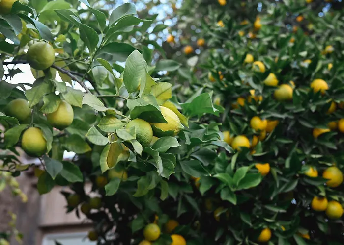 Apartamento El Pozo 2 Villanueva De La Vera